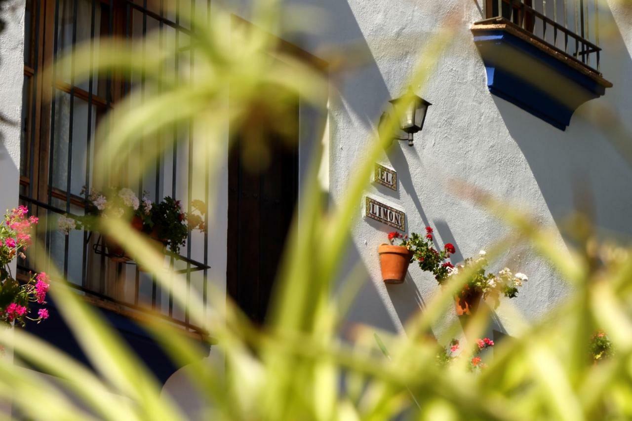 Casitas De La Sierra Villa Montejaque Exteriör bild